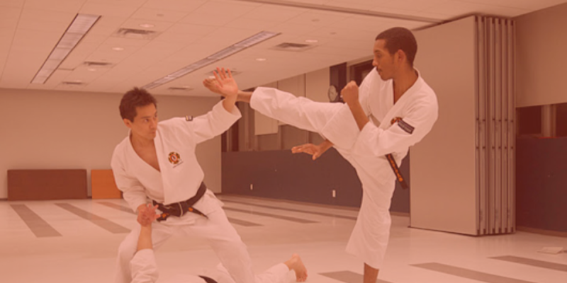 Persaudaraan Bela Diri Kempo Indonesia