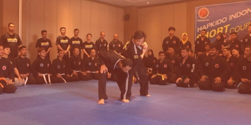 Hapkido